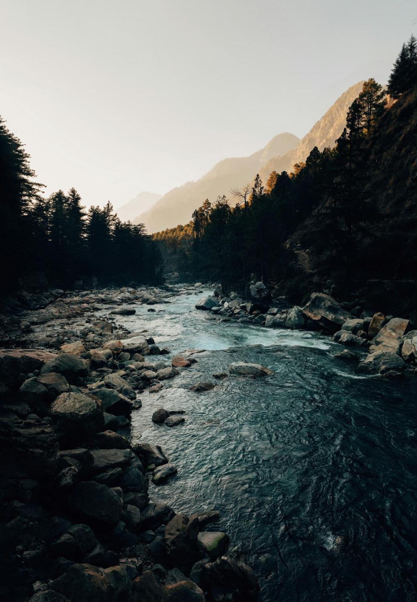 Hostel 360 Degree, Riverside Stay, Old Manali エクステリア 写真